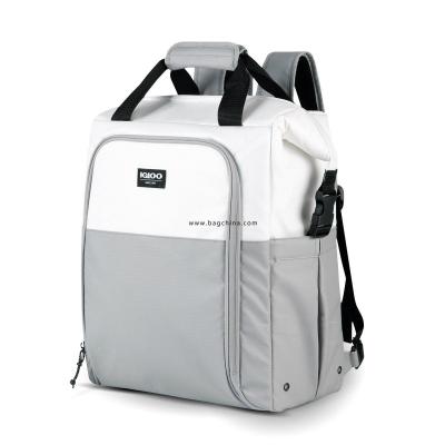 Insulated cooler bags 30 can