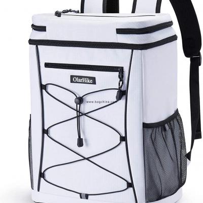 Camping Cooler,Picnic Backpack