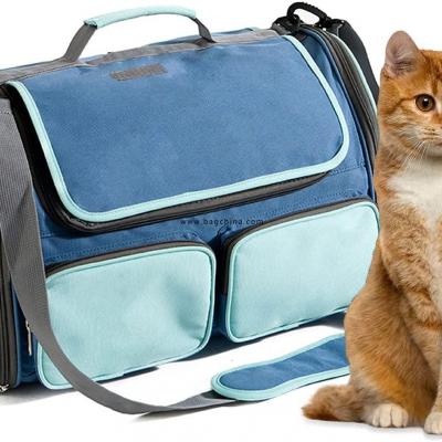 Foldable Cat Travel Bag