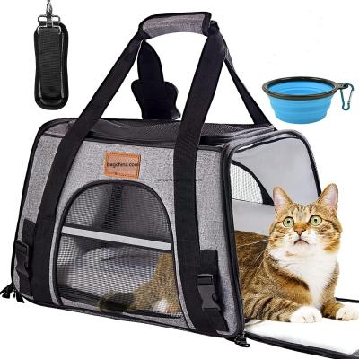 Amazon Pet Carrier